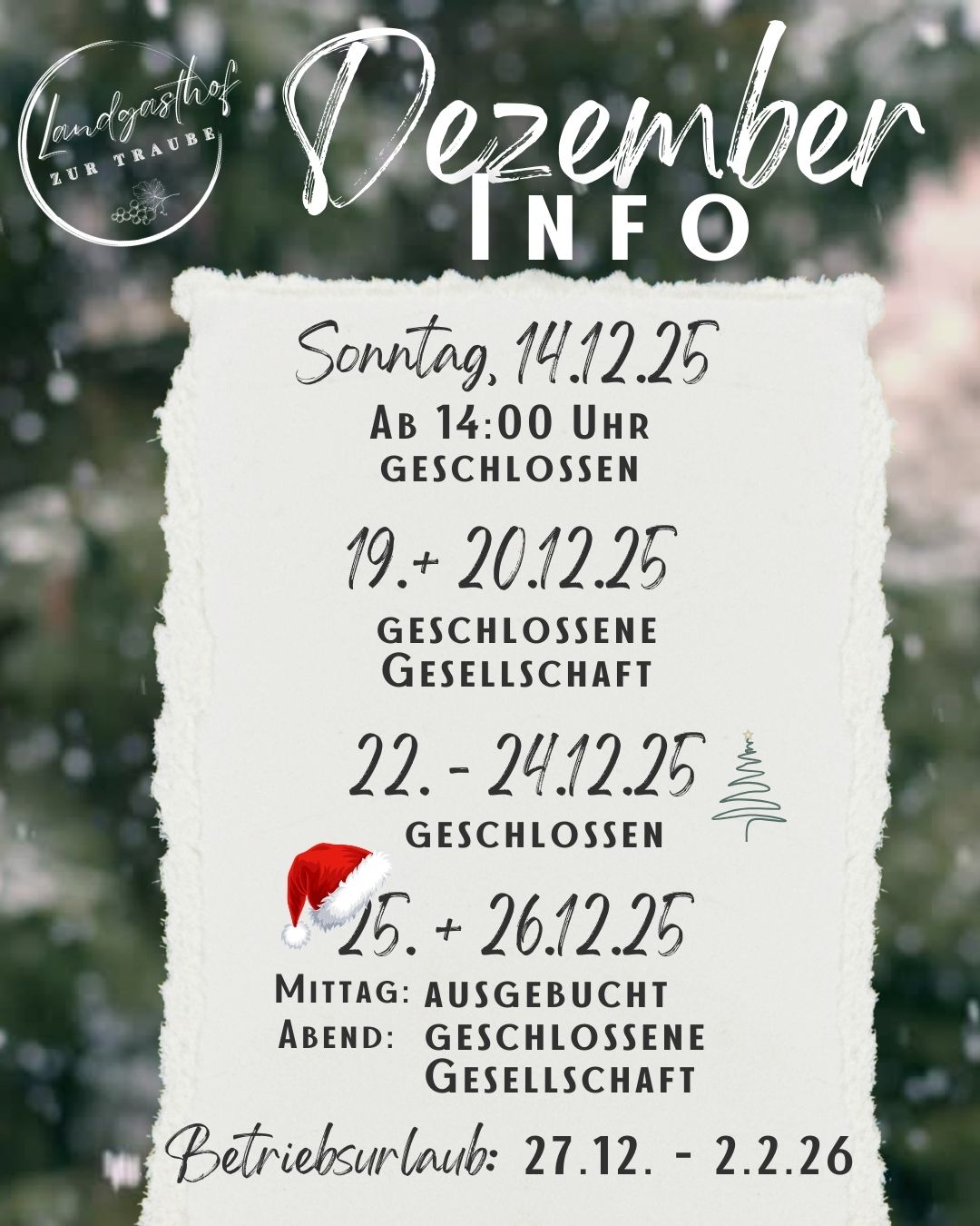 Kopie von Grün Weiß Einfach Natürlich Frohe Weihnachten Video Instagram Story